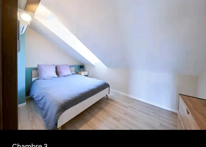 Loft Neuf Avec Bain Jacuzzi Et Terrasse 科尔马